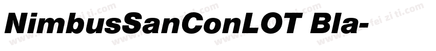 NimbusSanConLOT Bla字体转换